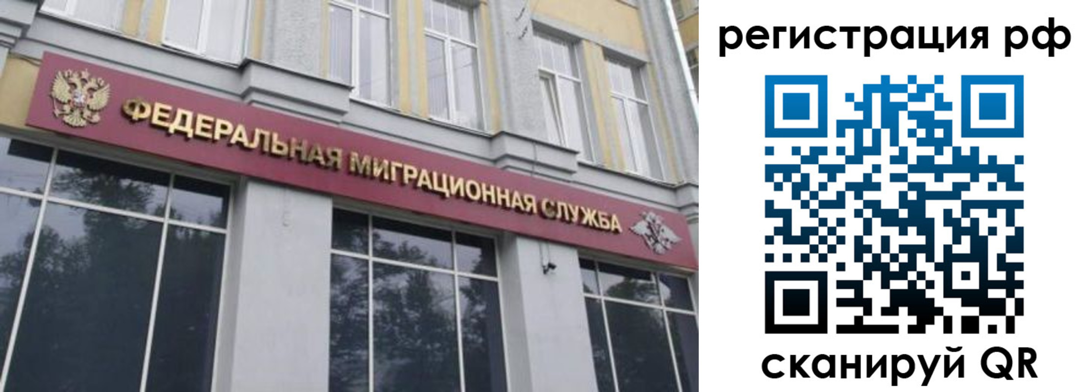 прописка законно в Россоши
